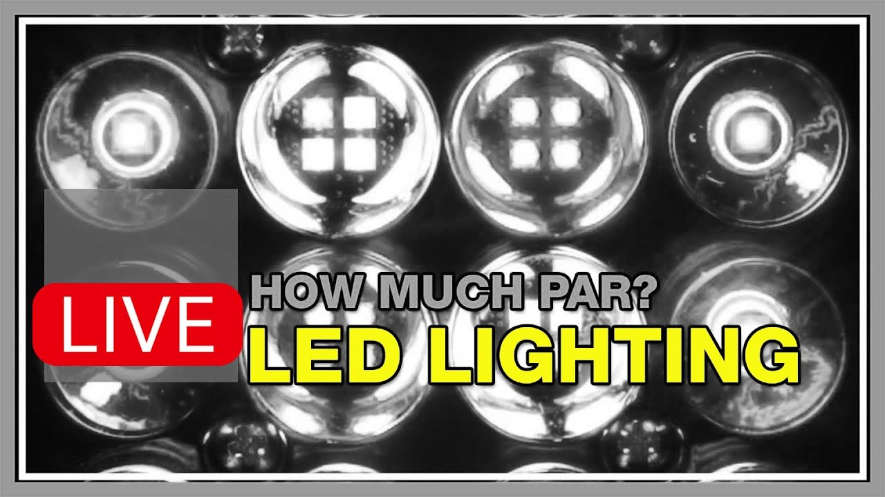 Reef Tank LED Lighting Are the Solution, but We’re Making Something So Easy... Hard.