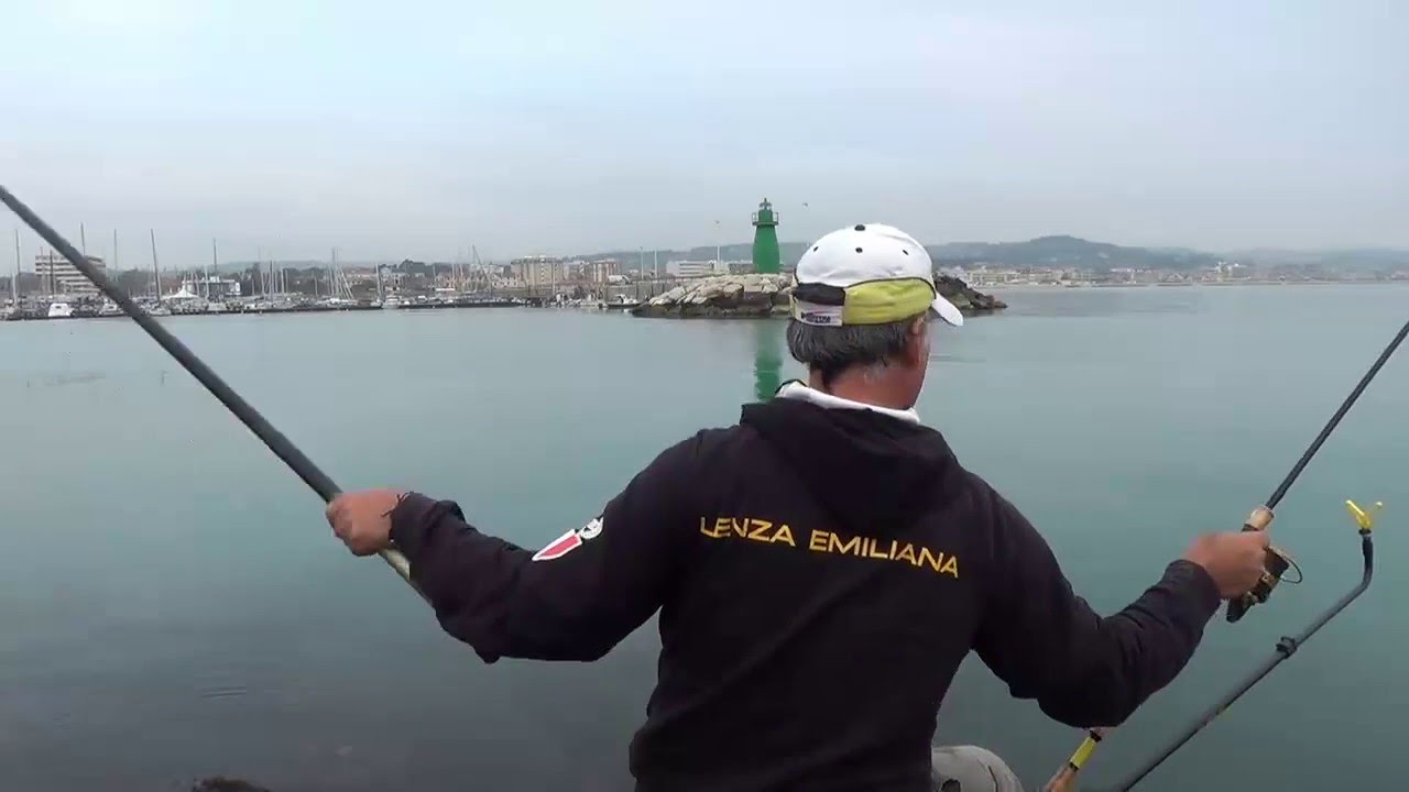 tutorial su come pescare i cefali a method e le orate o mormore a feeder fishing