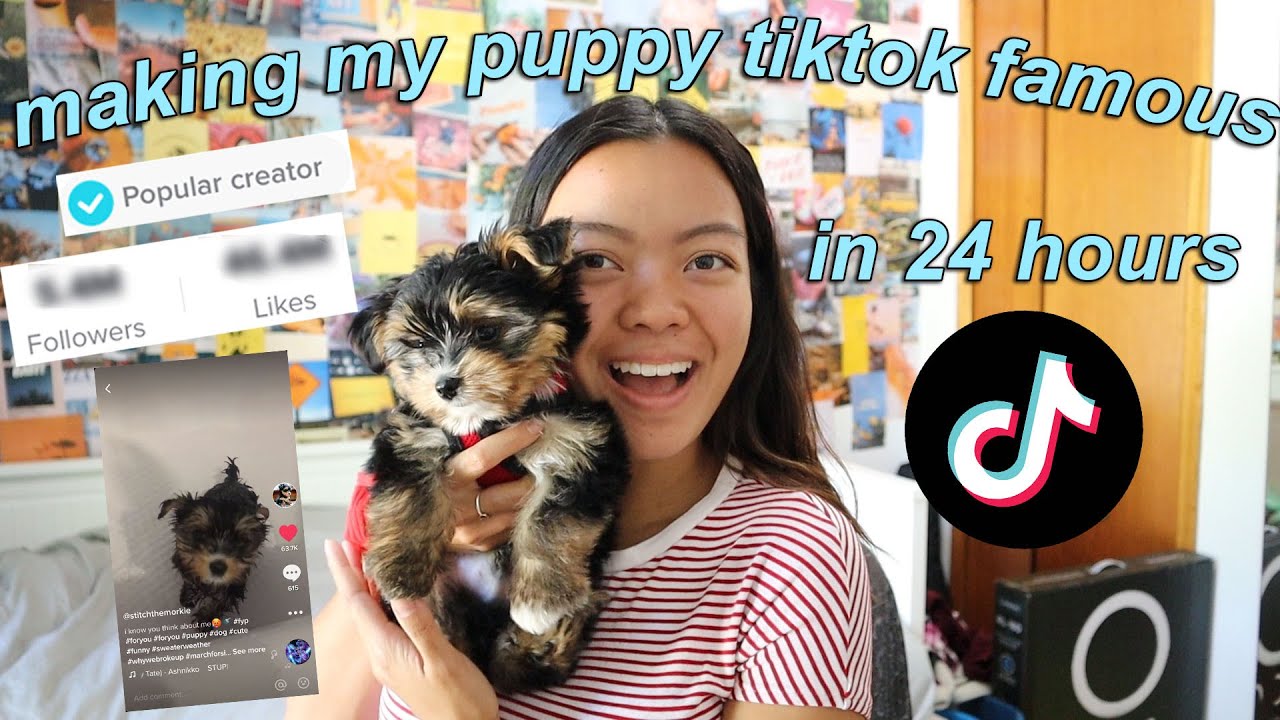Making My Puppy TikTok Famous in 24 Hours