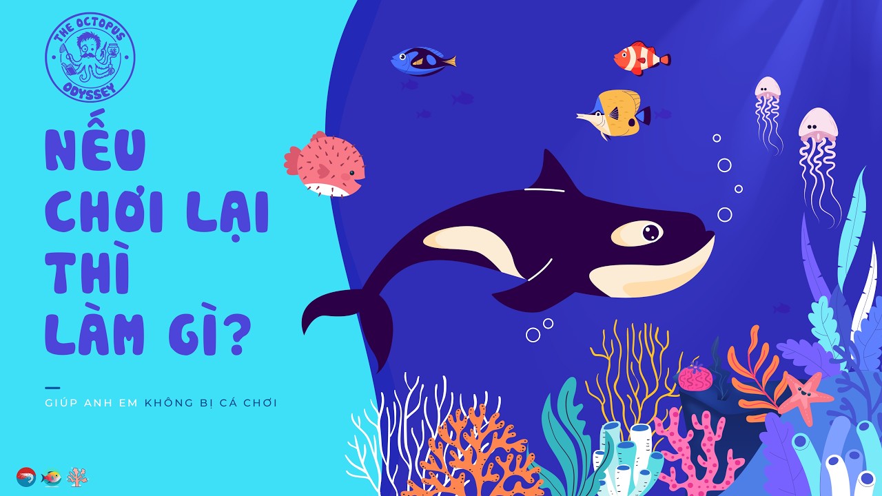 Nếu chơi lại từ đầu, mình sẽ làm những gì?