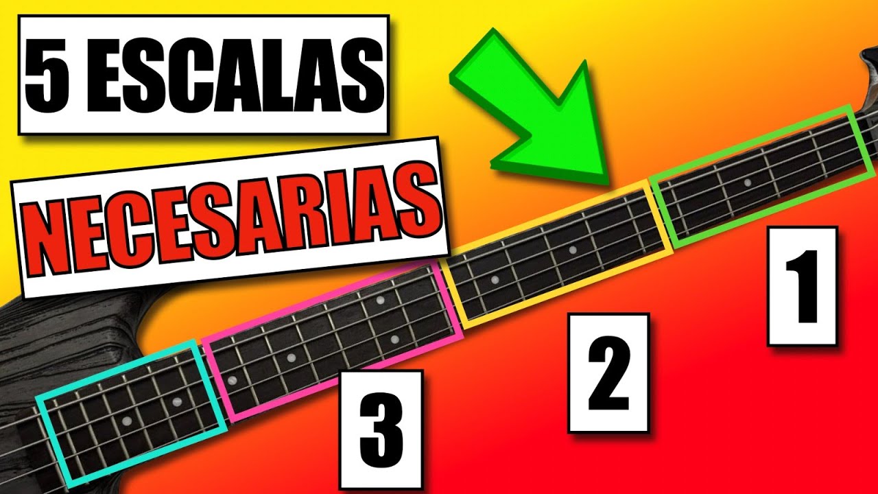 5 escalas fáciles que todo bajista debería conocer