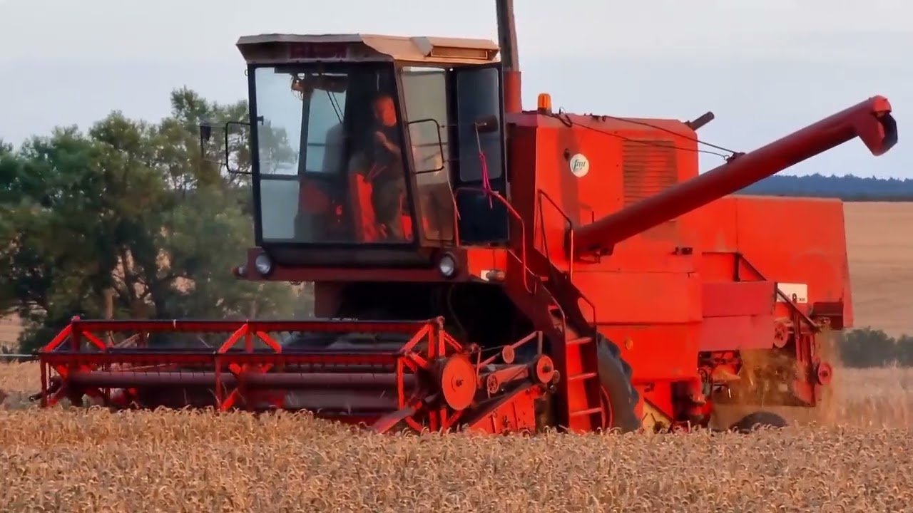 Żniwa 2022 🚜 Bizon Z056  🚜 Ryk silnika 🚜 Polska Wieś