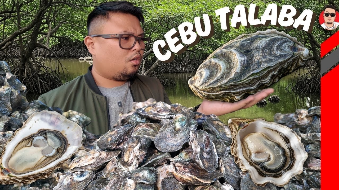 Eating Mountains of FRESH and LARGE Talaba! The only place in Cebu with overloaded with Talaba!
