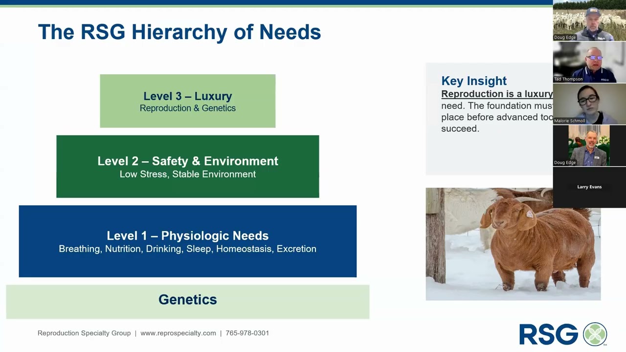 Advancing IVF in Small Ruminants Educational Zoom
