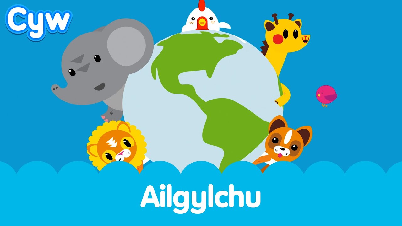 Cân Ailgylchu Cyw | Cyw's Recycling Song
