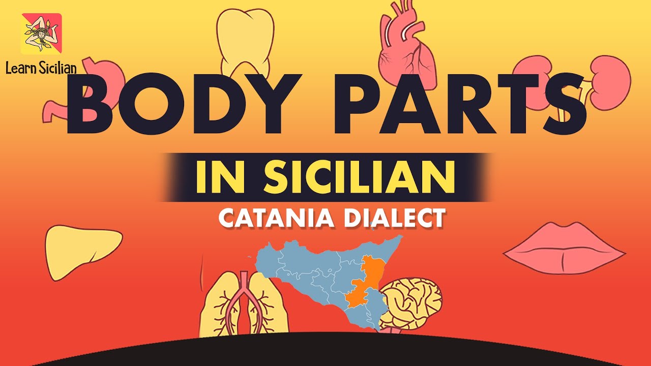 Learn Sicilian - PARTI RO CORPU (Body Parts) in the Catanian dialect - Imparare il Siciliano