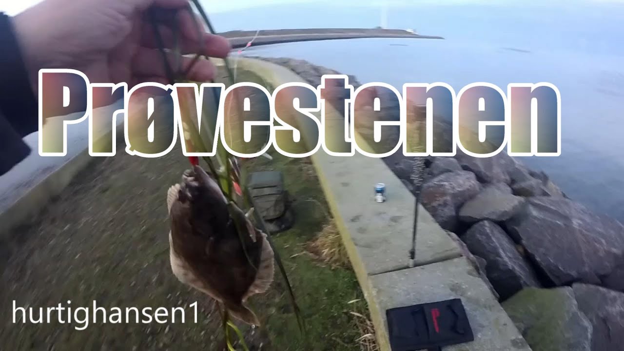 Fladfisk på prøvestenen Dec 20