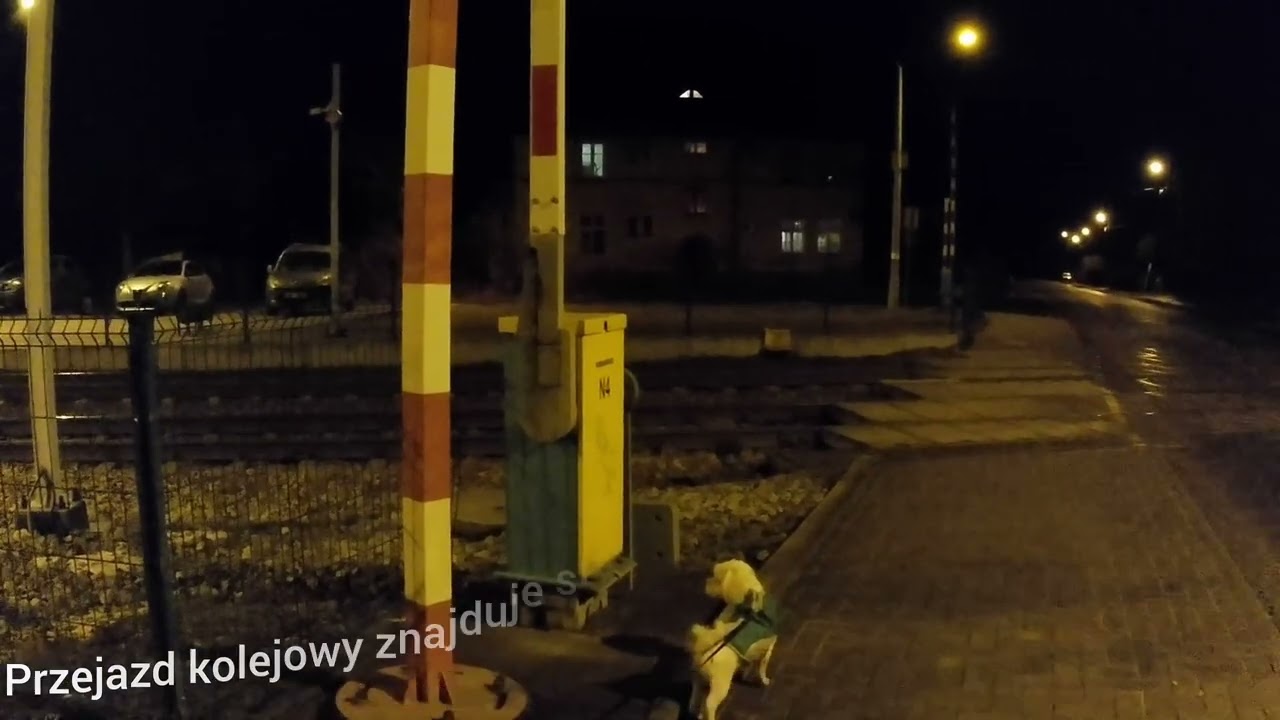 Przejazd kolejowy Szczedrzykowice Stacja. Polish Railroad Crossing