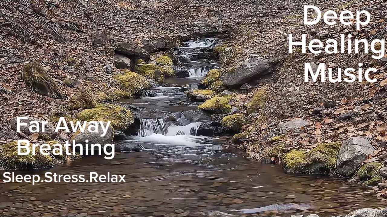 Far Away Breathing l Deep Healing Music for Sleep & Anxiety 30 Minutes Harp & Piano 