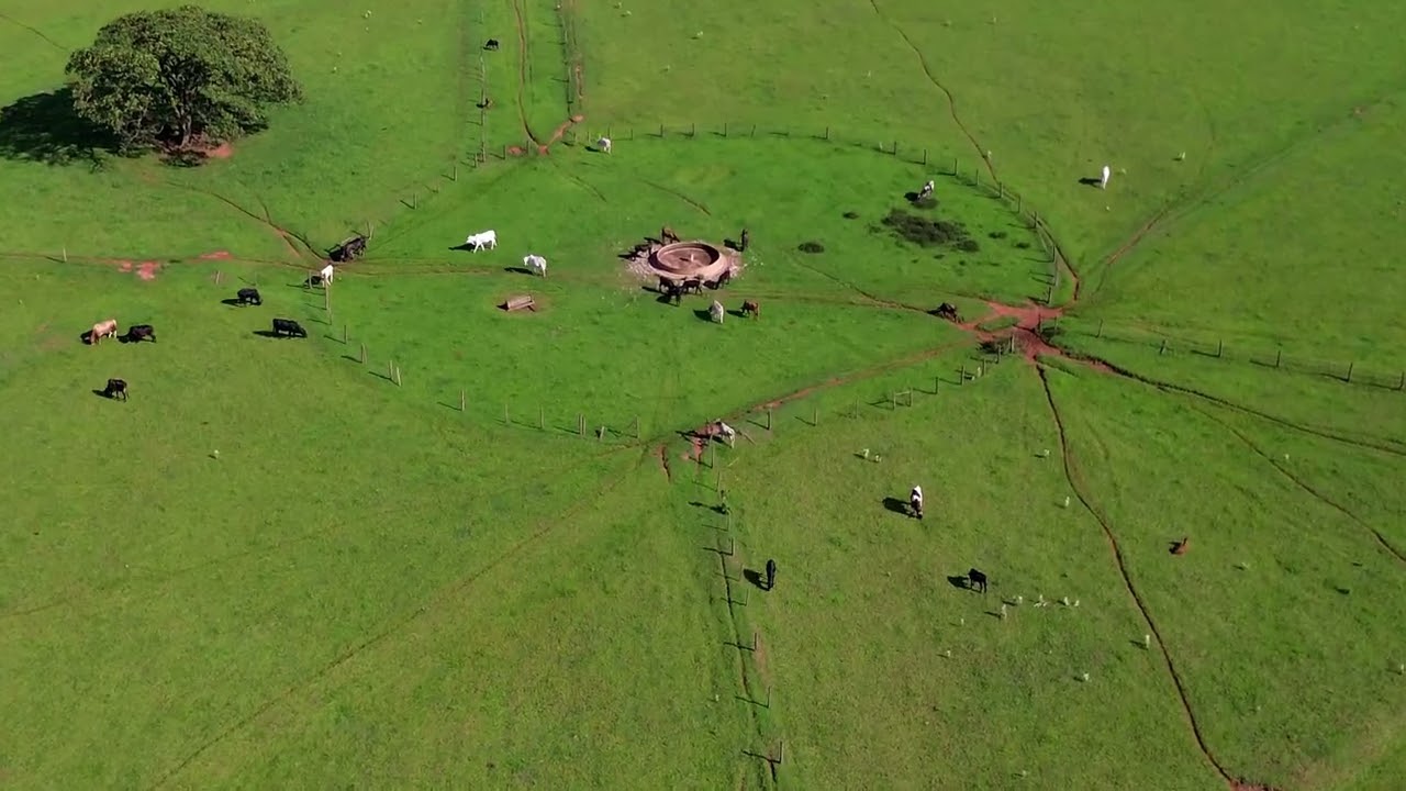 BREVE VOO EM UMA FAZENDA DA REGIÃO DE JAÚ SP