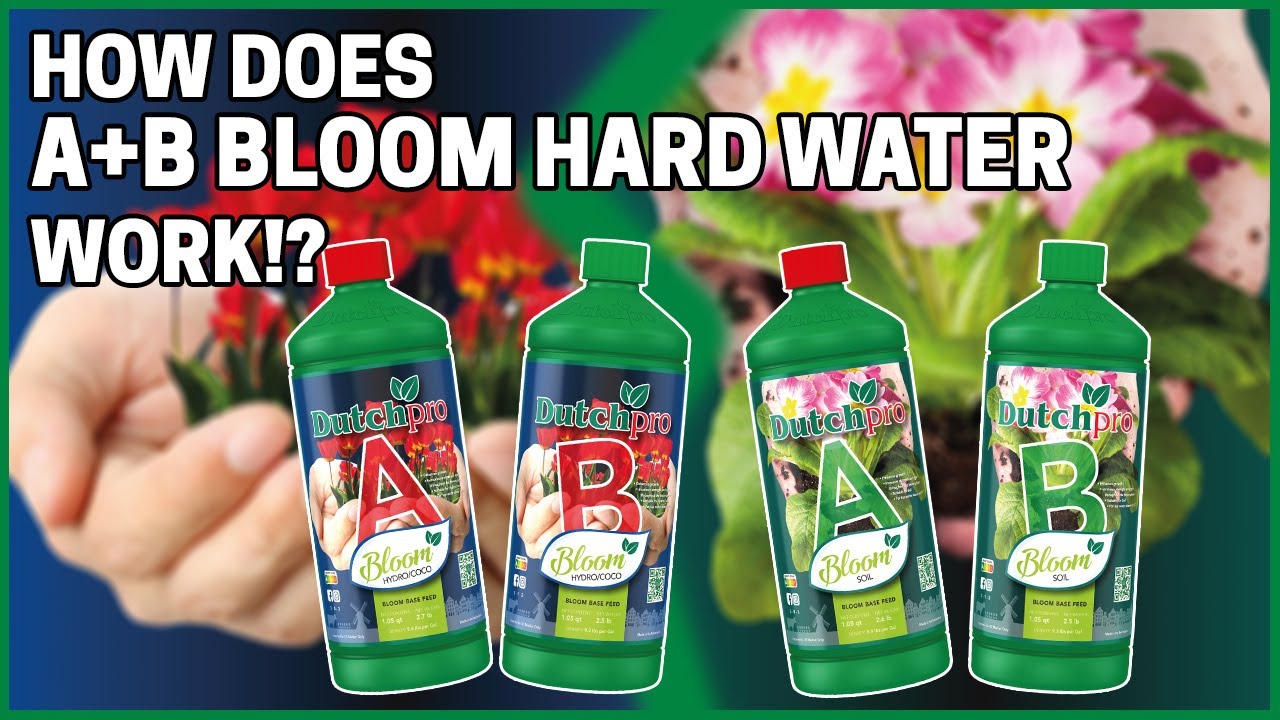 AB Bloom Hard Water Base Feeds : How it works