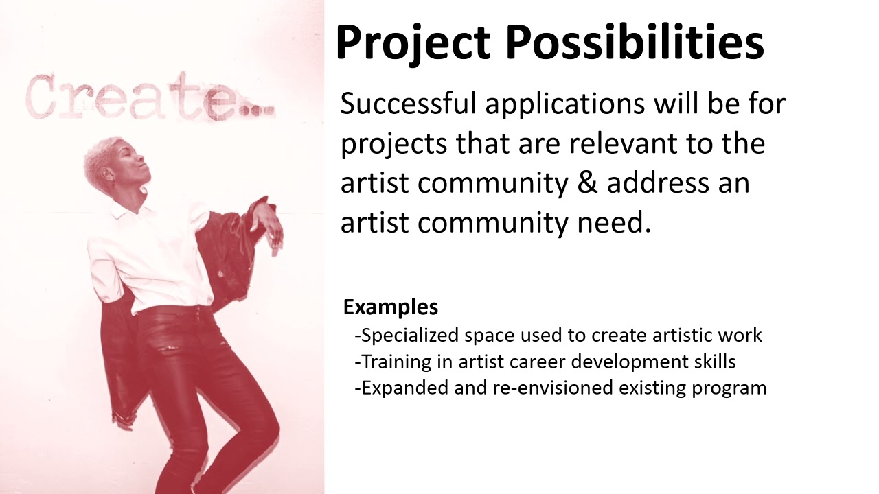 State Arts Council FY25 Projects Serving Artists Overview