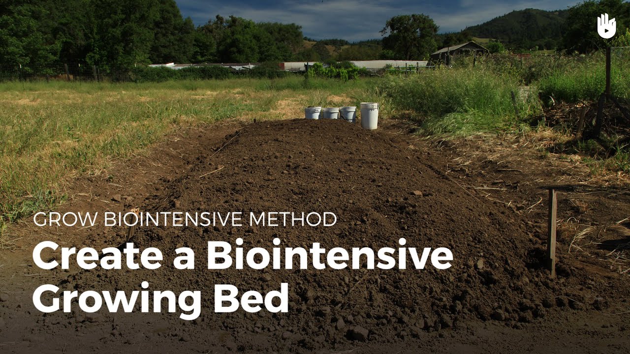 Biointensive growing bed