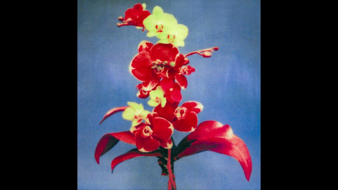 {FREE} TYLER, THE CREATOR X JORDAN WARD TYPE BEAT "LOTUS"