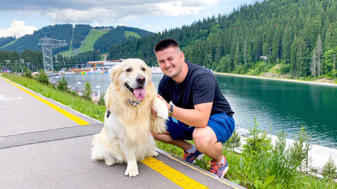 Golden Retriever First Time in the Mountains!