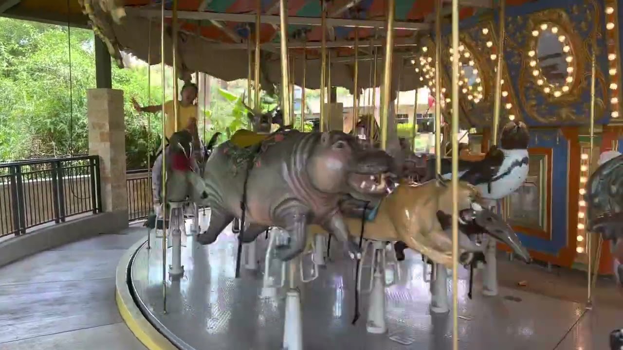🟢Fun Zoo Carousel 🎠 #subscribe #trendingvideo  #viralvideo