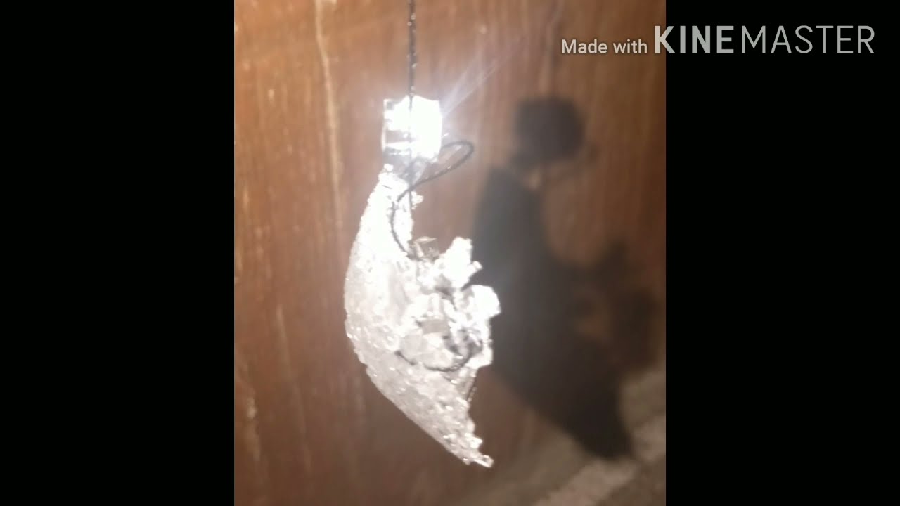 CRYSTAL GROWTH/NaCl CRYSTAL GROWING