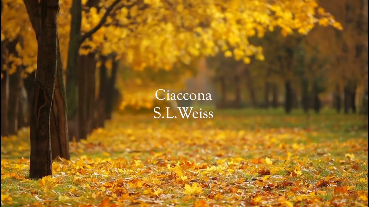 Ciaccona S.L.Weiss　Played with Romantic Guitar １９世紀ギターによるヴァイスのシャコンヌ