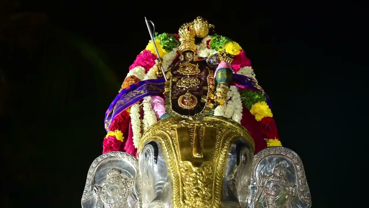 நவதிருப்பதி ஆழ்வார்திருநகரி  மாசி உற்சவம் ஆறாம்திருநாள் நம்மாழ்வார் யானை வாகன புறப்பாடு 03.03.26 