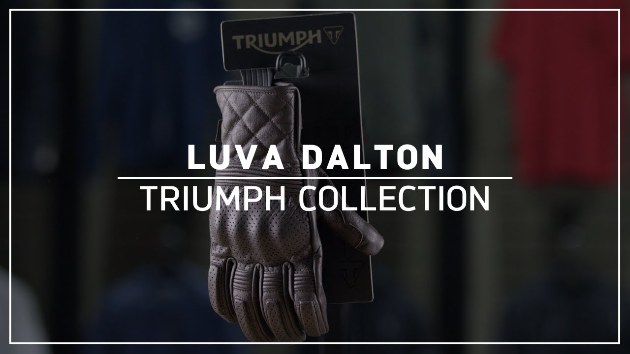 Triumph Collection | Luvas Dalton