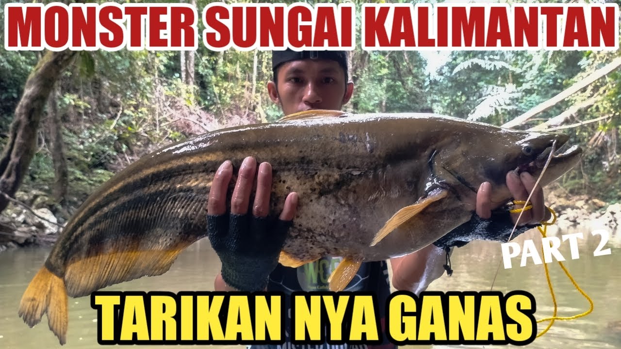 Terciduk Monster sungai Kalimantan