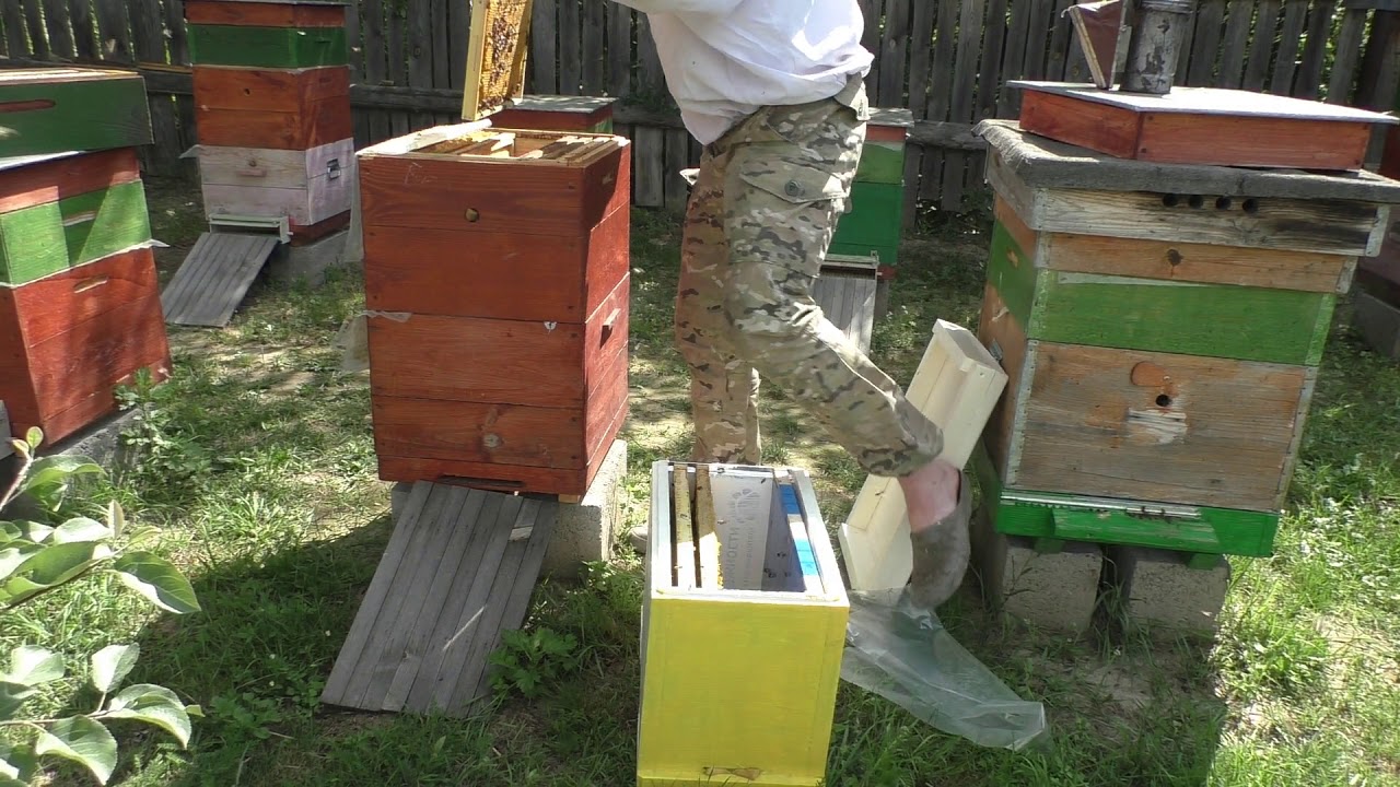 Отводки на две рамки. Шестирамочники ППС.