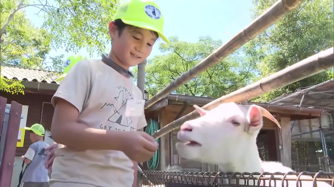 普段入れない動物園の裏側に潜入　小学生が飼育員になってエサやり体験【高知】 (25/07/29 19:20)