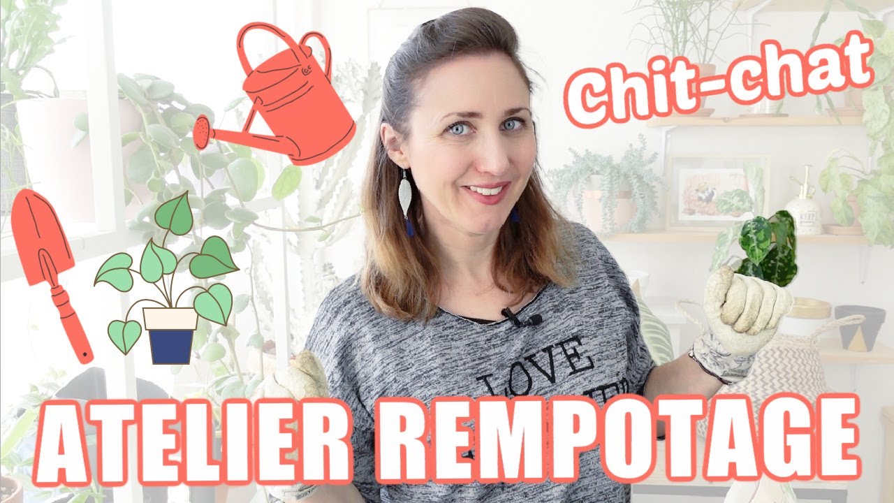 🪴 CHIT CHAT rempotage : on rempote des plantes vertes et je réponds à vos questions !