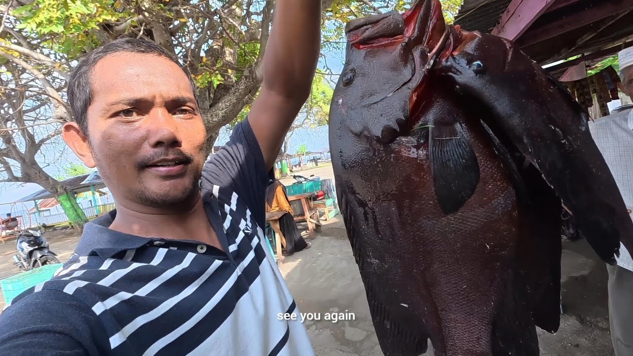 Redmouth grouper spearfishing