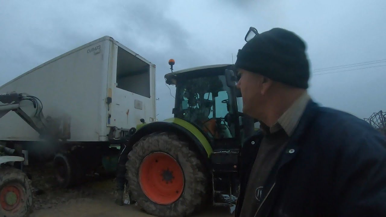 Вывоз коробки из-под холодильника, ивы в ручье