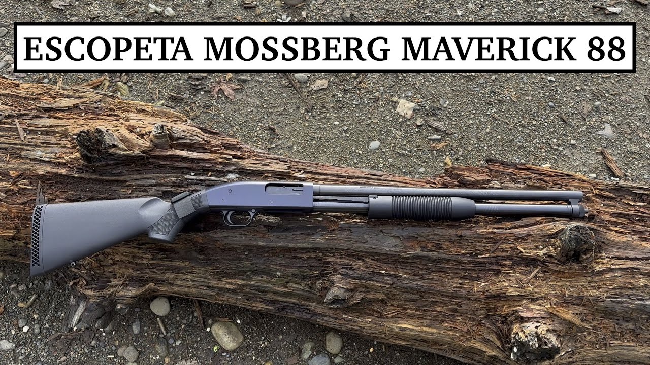 Disparando la Escopeta Mossberg Maverick 88 Security, Video en Español