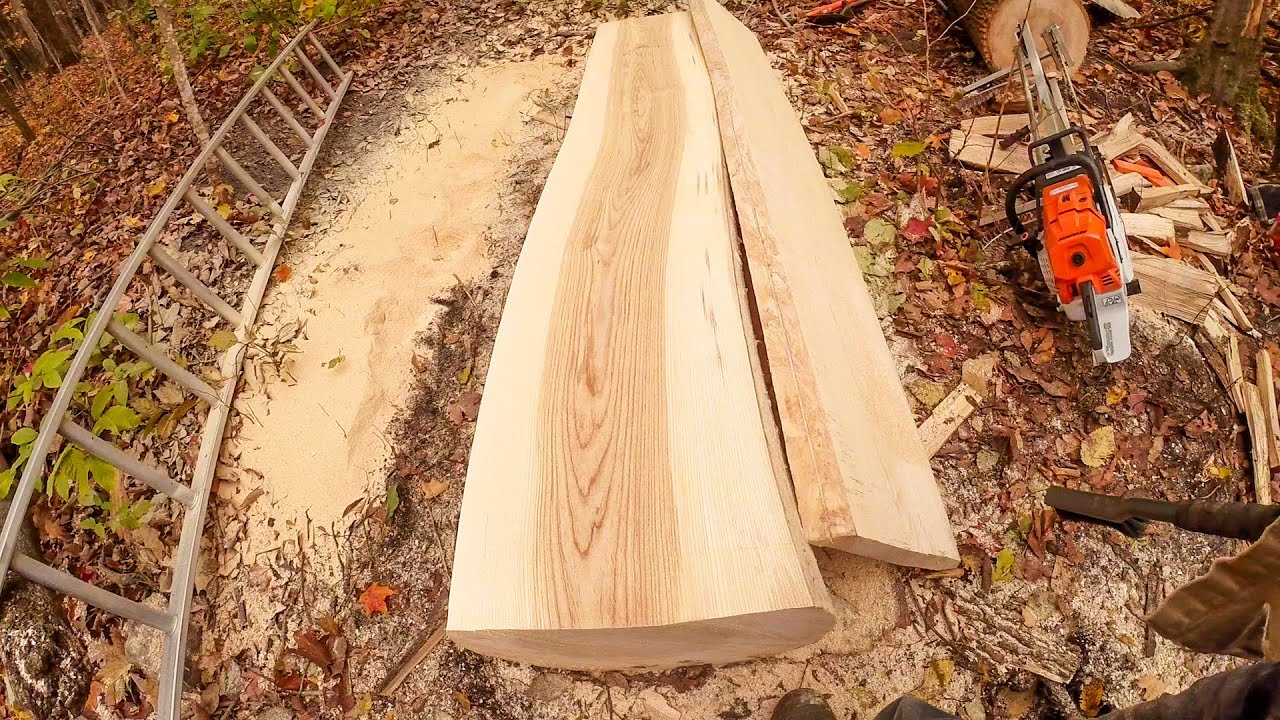 cutting ash rootball and log, chainsaw milling one ash slab and many basswood one inch for stickers