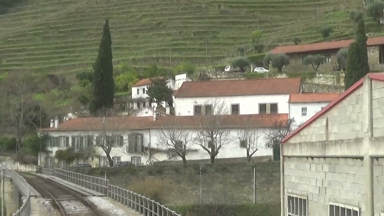 DOURO 12 JANEIRO 2026 - Postal ( Tons de Inverno ) - @antoniomouraotv