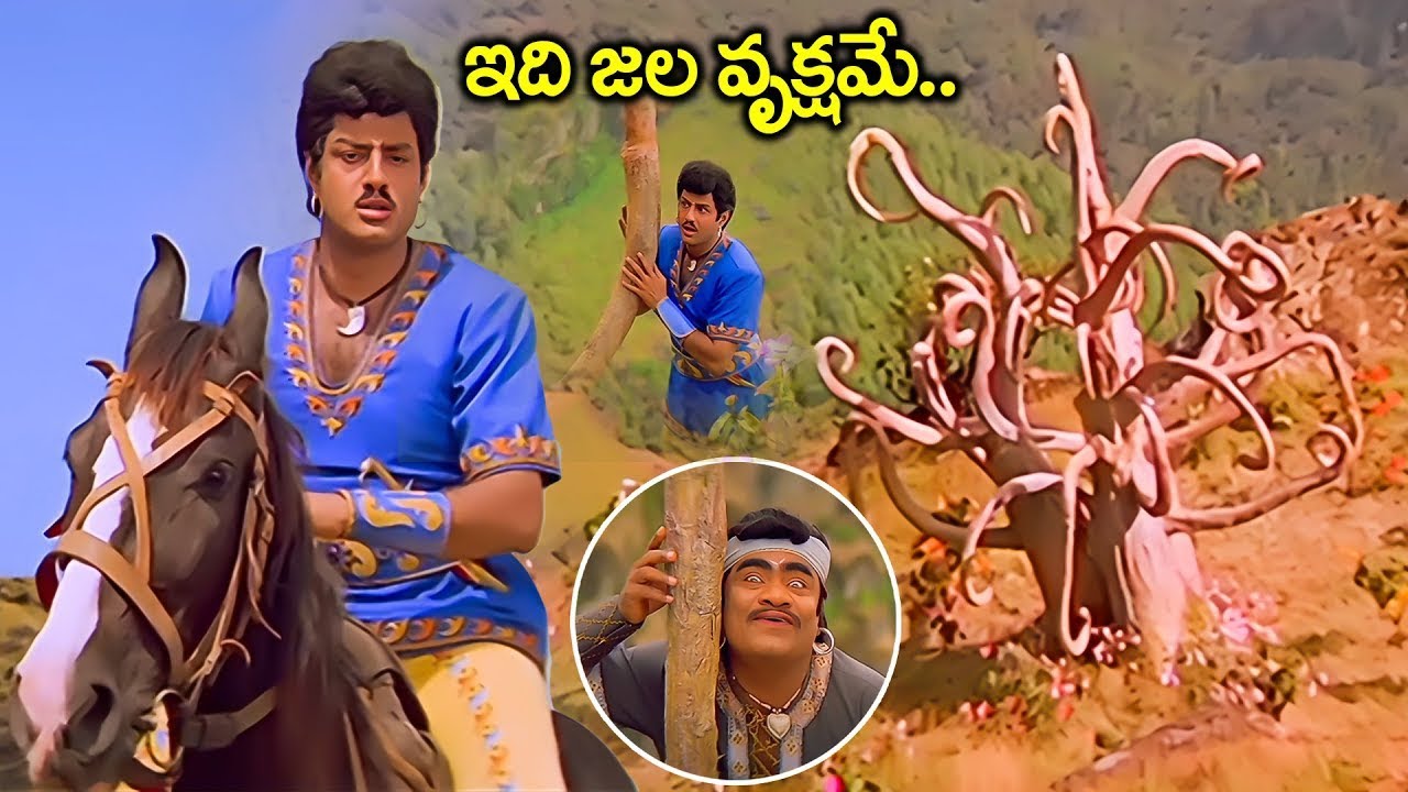 వయస్సు తగ్గించే వృక్షం కోసం బాలకృష్ణ వేట | Balakrishna | Babu Mohan | Bhairavadweepam Movie Scenes