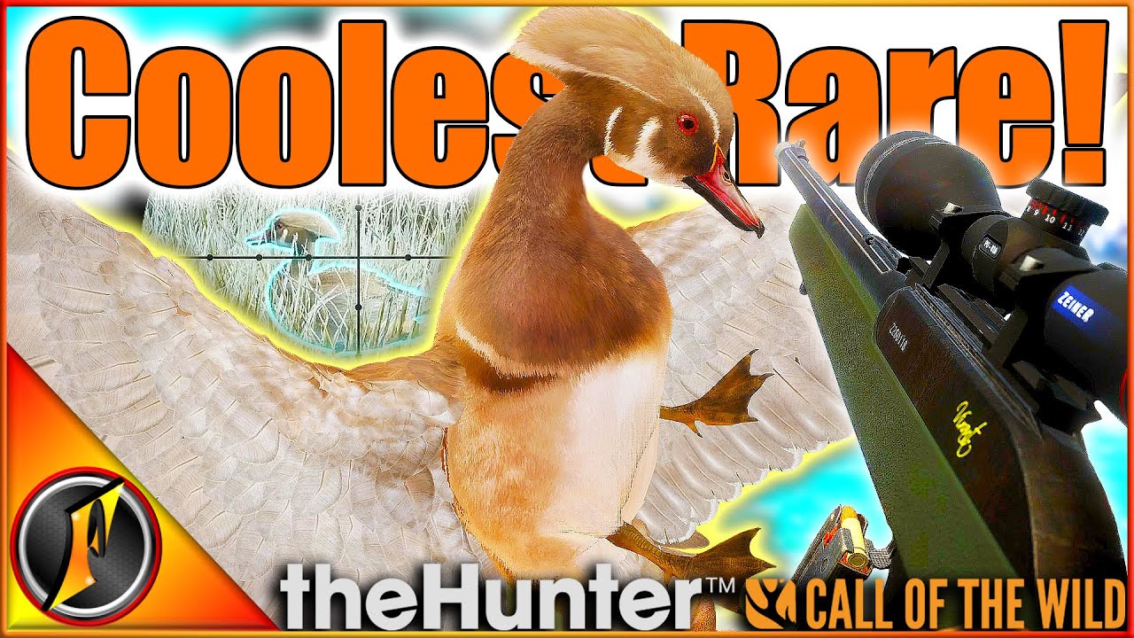 We Got the COOLEST RARE Wood Duck on Askiy Ridge! | theHunter Call of the Wild
