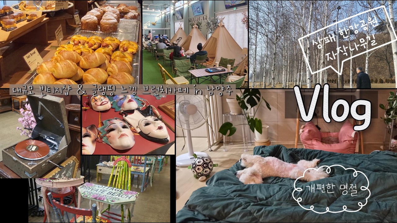 명절 Vlogㅣ왈츠와 동화🙆&zwj;♀🙆ㅣ견주체험 2박3일ㅣ남양주 한강공원, 하우스 용암 대형 카페