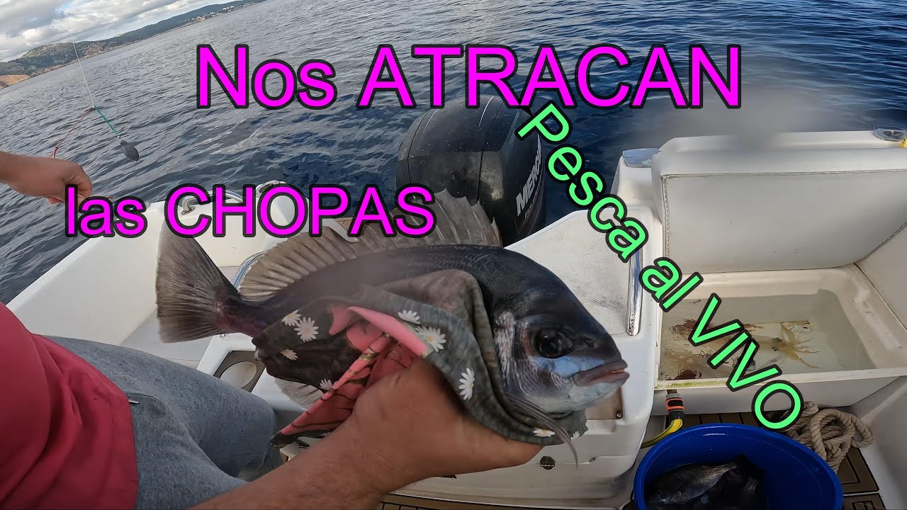 Nos atracan las 