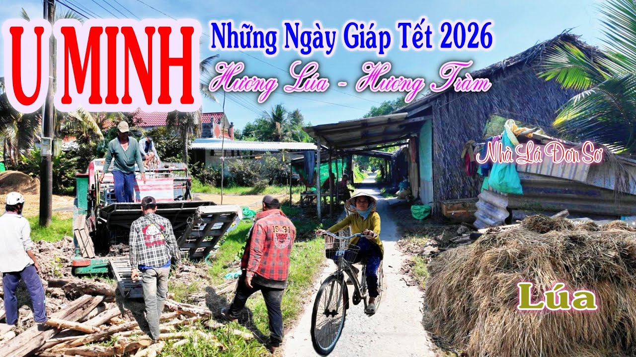 Khám Phá Đường Làng Quê U MINH Những Ngày Giáp Tết 2026 - Nhịp Sống Miền Tây Sông Nước Bình Dị Ấm Áp