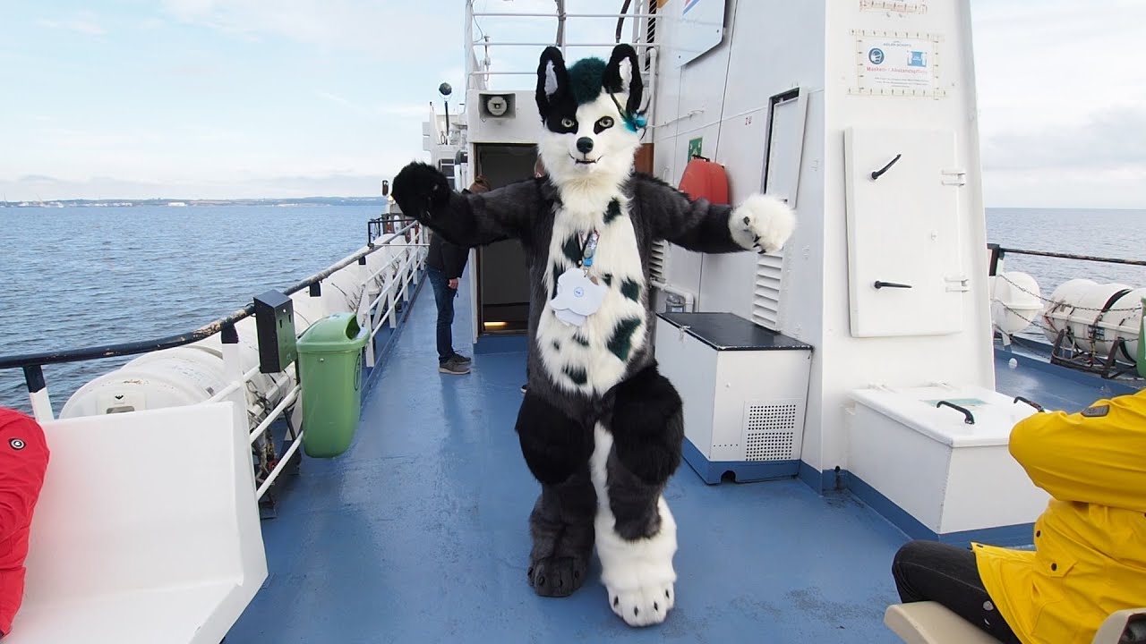 The furry ship. A furry dream-voyage around the world for fursuiters, furries and furs