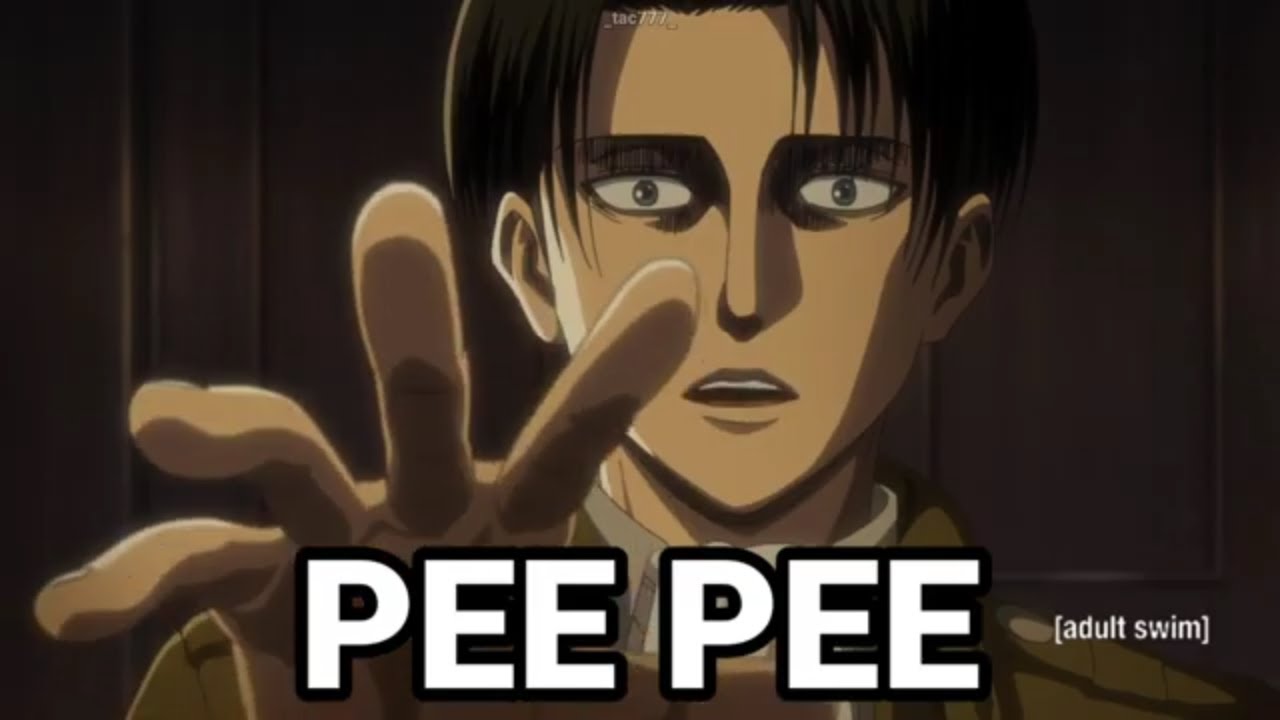 OI ERWIN PP Расширенная версия