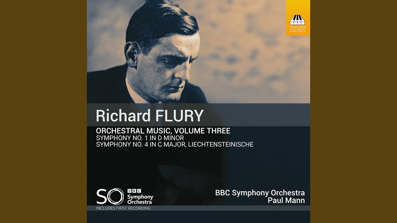 Symphony No. 1 in D Minor: I. Allegro molto