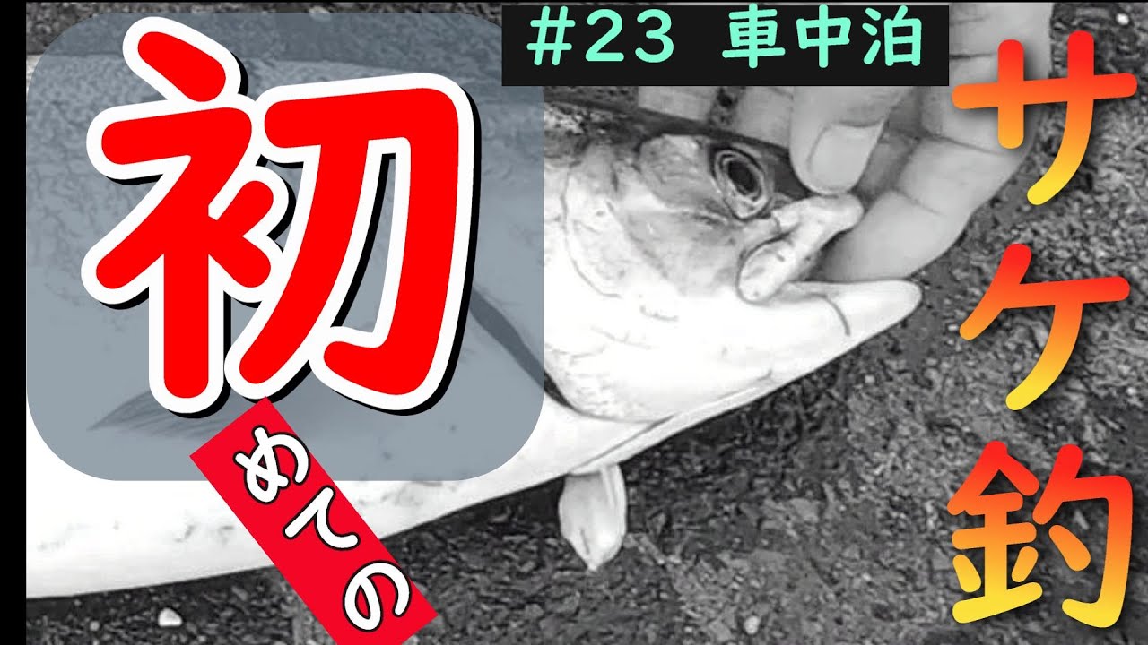 【サケ釣れたよぉ(^^♪】釧路で初めて釣った可愛いメス鮭　釧路の方にお礼をするとお返しされた　２０万円で車中泊車をDIYして夫婦旅してます　絶景釧路の夕日(世界三大夕日)　釣り旅　サブバッテリーが