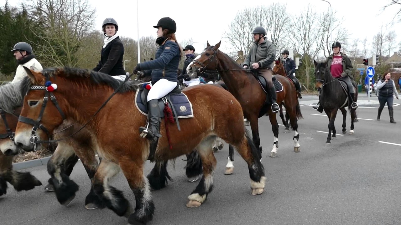Strao Burgh-Haamstede 2017