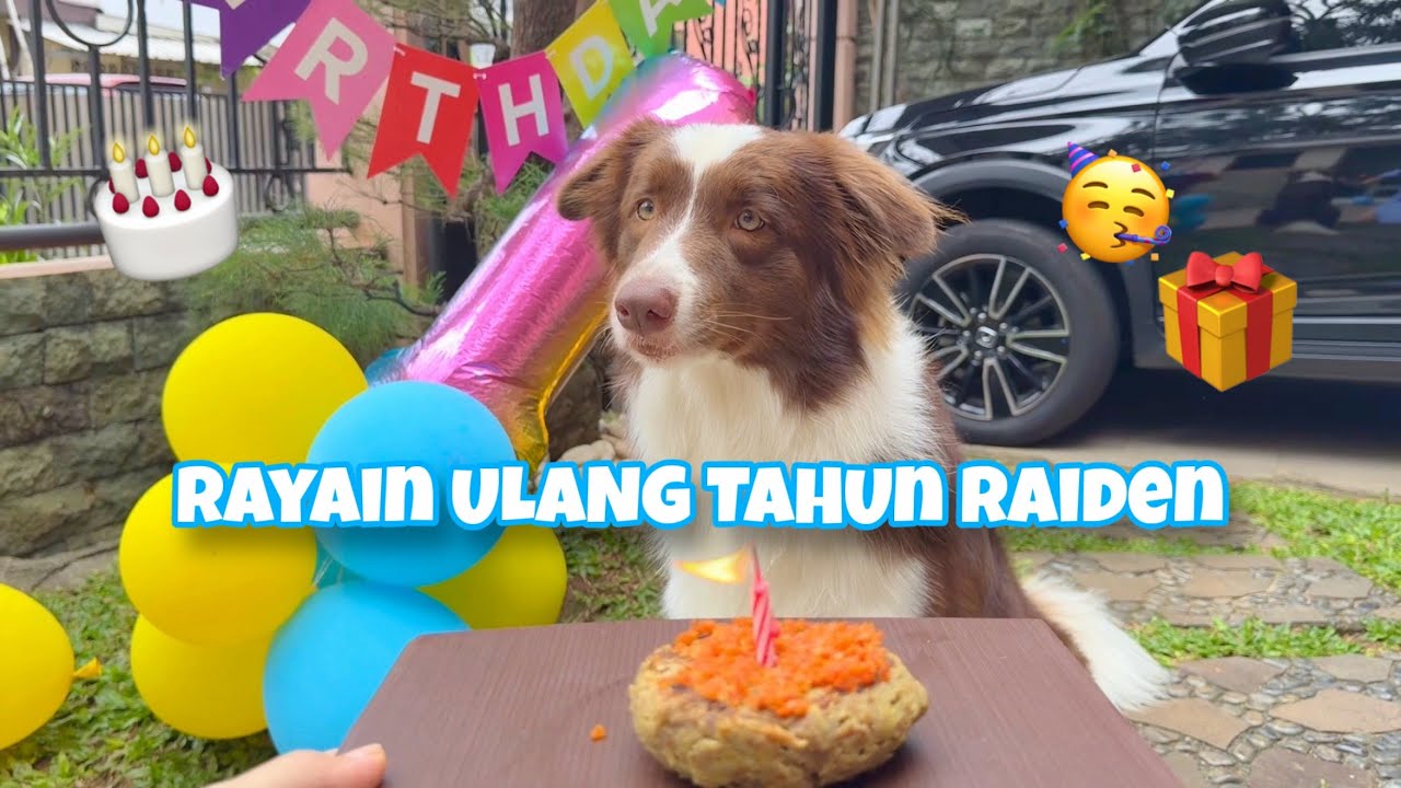 RAYAIN ULANG TAHUN KE-1 RAIDEN‼️🥳 MAKAN KUE & ES KRIM, UNBOXING KADO🎁😍