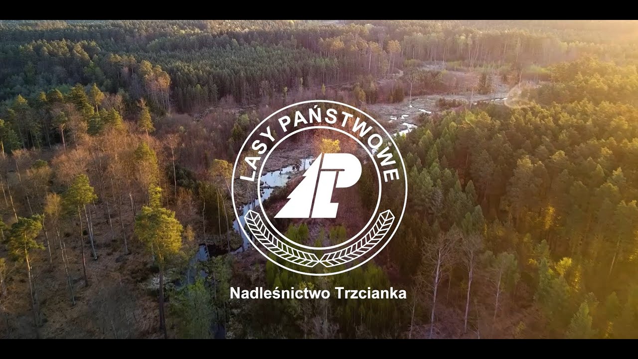 To opowieść,  która trwa... 80 lat Nadleśnictwa Trzcianka 06.06.2025