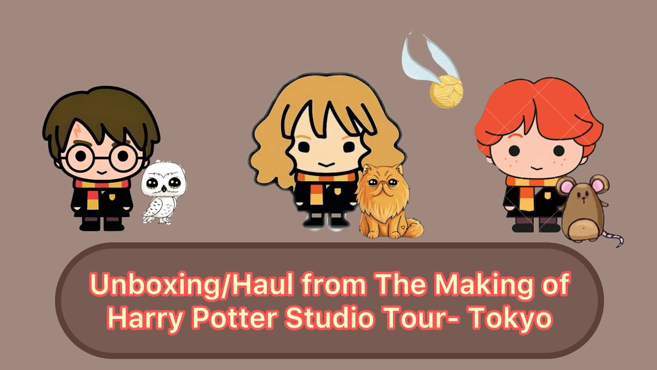Unboxing/Haul from Harry Potter Studio Tour- Tokyo | Anika Channel