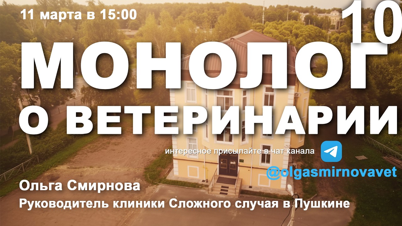 Монолог о ветеринарии #10