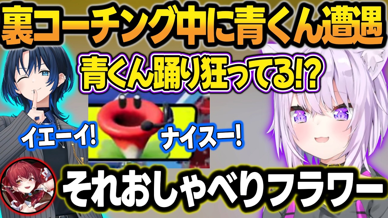船長と裏コーチング中で久々に青くんの声を聴けて喜ぶおかゆん＋おしゃべりフラワーの声を青くんと間違えるw【猫又おかゆ/宝鐘マリン/火威青/ホロライブ/切り抜き】