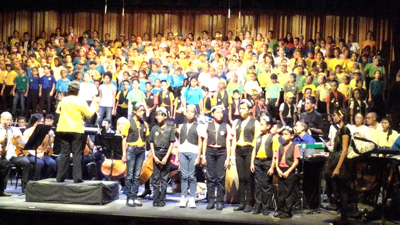 La Avispa Brava. 50 Aniversario Schola Cantorum De Venezuela