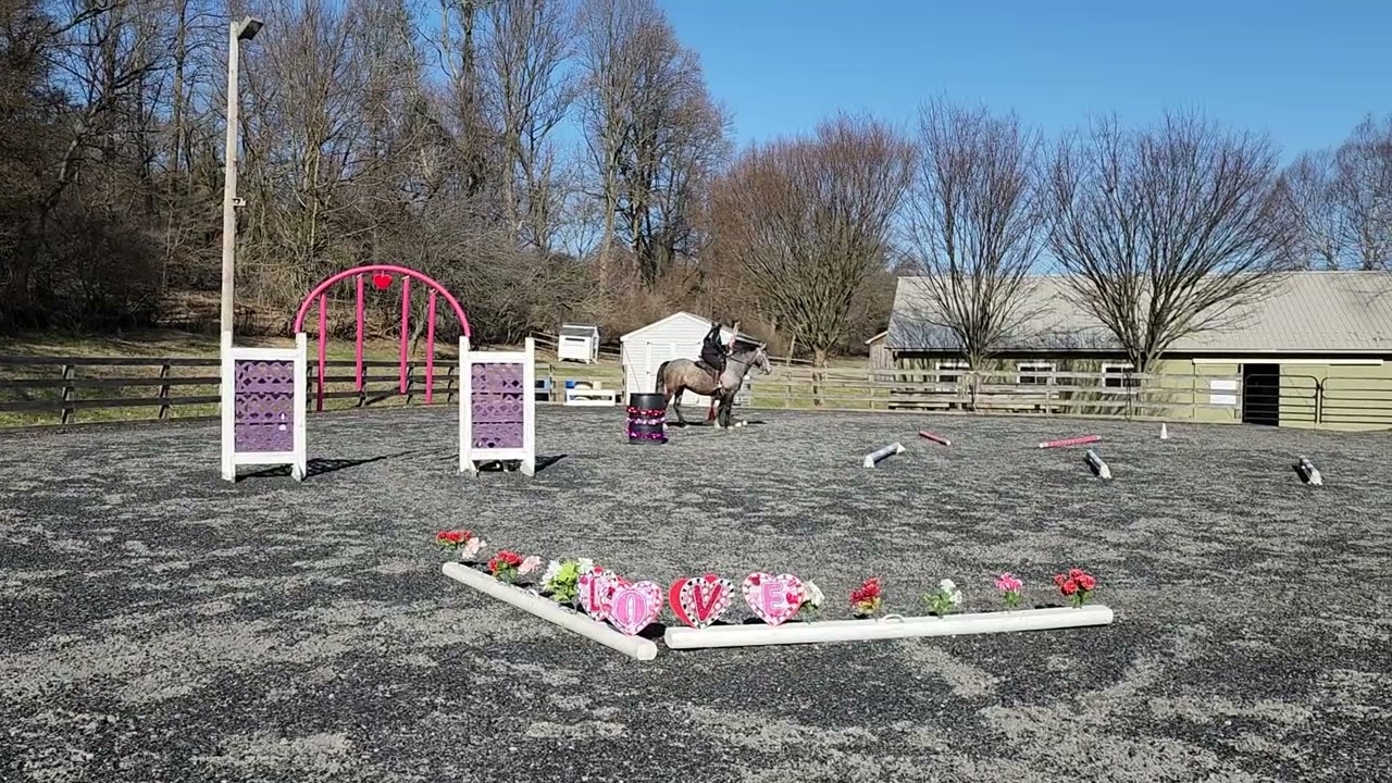 Virtual Trail Ride Challenge #27